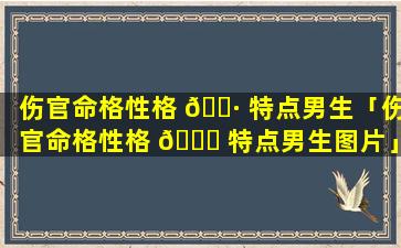 伤官命格性格 🌷 特点男生「伤官命格性格 🐘 特点男生图片」